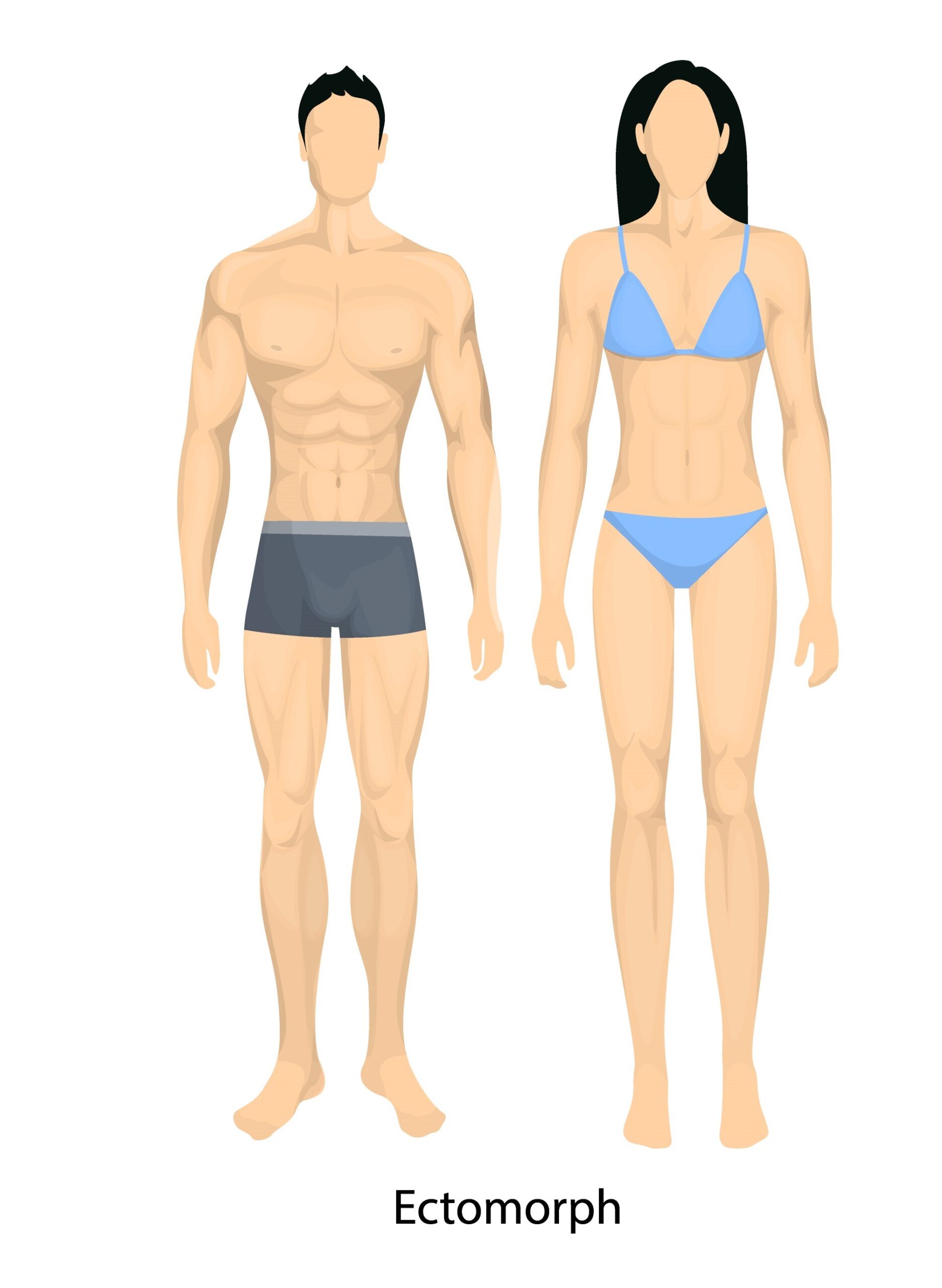 Ectomorph (somatotype thin elongated, difficulty in gaining weight)