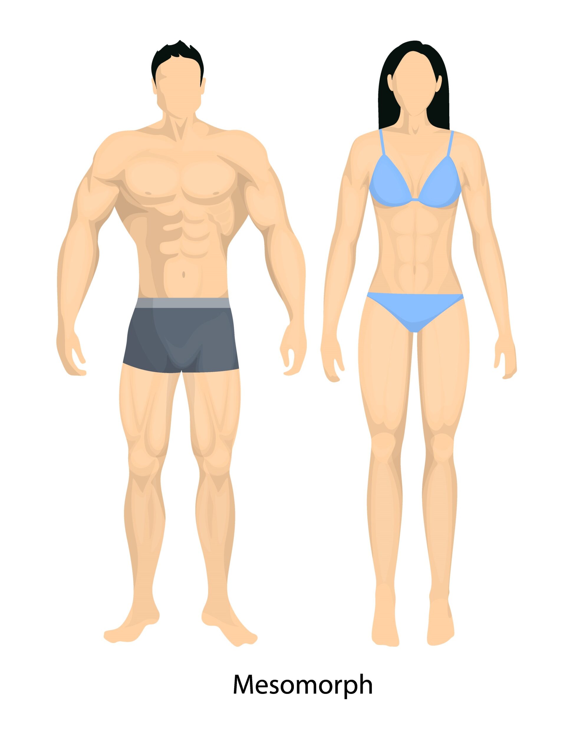 Mesomorph (somatotype Muscular and well proportioned, easy to gain weight)